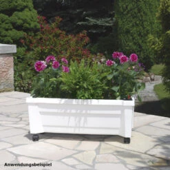 Pflanzkasten Calypso Rollbar Weiß Aus Kunststoff -Garten Lust 9kZQ6C8w0OUmZ43 1280x1280