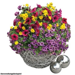 Confetti Garden Trio Sommerblumen Mix Mit Blumentopf 12 Cm -Garten Lust 9kbAx8cBpnrD3nD 1280x1280