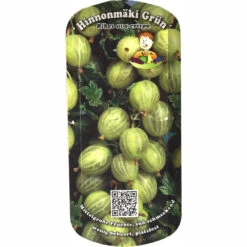 Beerenobst Im Sortiment -Garten Lust Z7JnLdzjTH7ImS 1280x1280