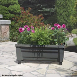 Pflanzkasten Calypso Rollbar Anthrazit Aus Kunststoff 7 Pflanzkasten Calypso Rollbar Anthrazit Aus Kunststoff -Garten Lust ZRBOaK9TIOma3T 1280x1280
