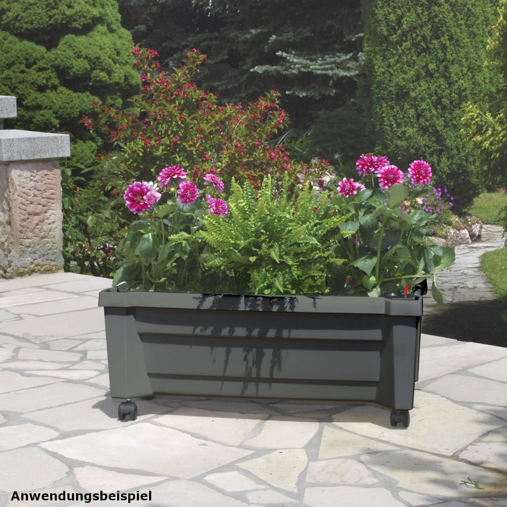 Pflanzkasten Calypso Rollbar Anthrazit Aus Kunststoff 4 Pflanzkasten Calypso Rollbar Anthrazit Aus Kunststoff – Bild 4