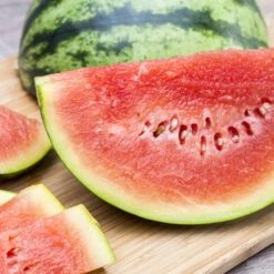 Melone Im Robusten Blumentopf Ø 9 Cm Vorgezogen